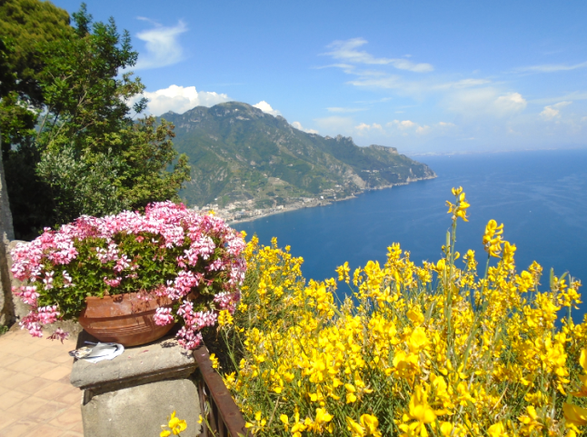 Screen Shot 2016-01-02 at 1.09.12 AM