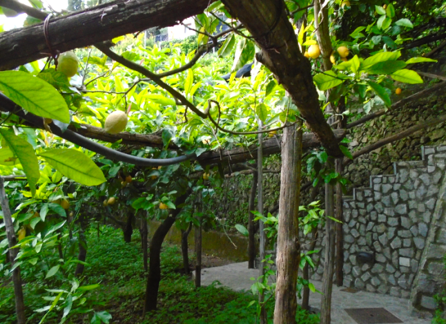 Screen Shot 2016-01-02 at 1.24.15 AM