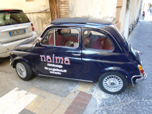 zzFIAT500Sorrento